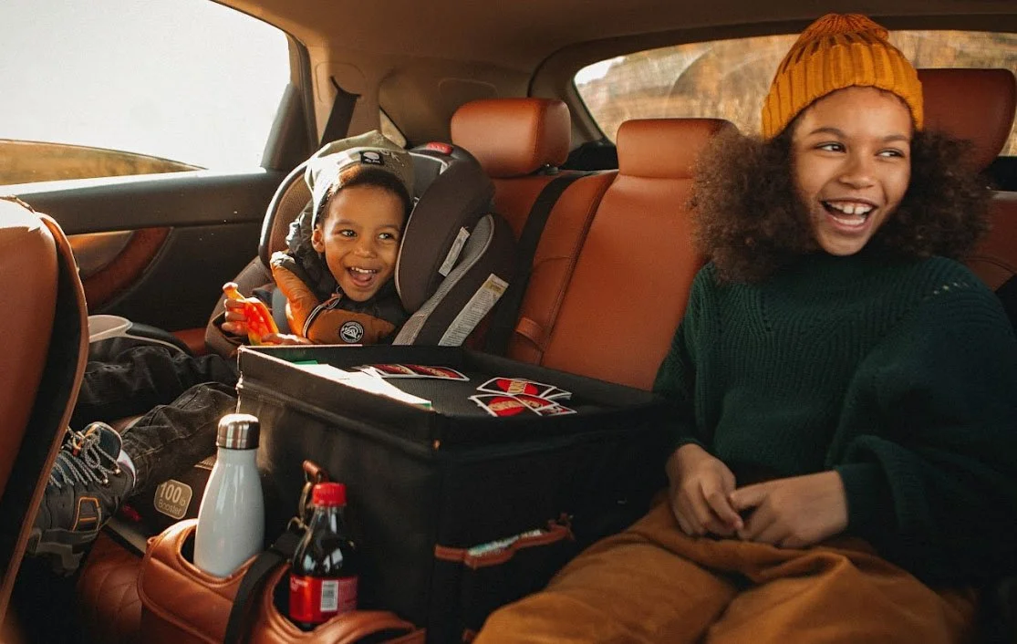Sturdy Trunk Organizer