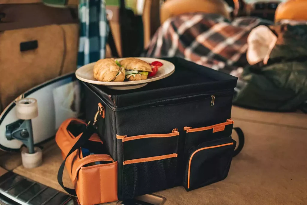 Sturdy Trunk Organizer