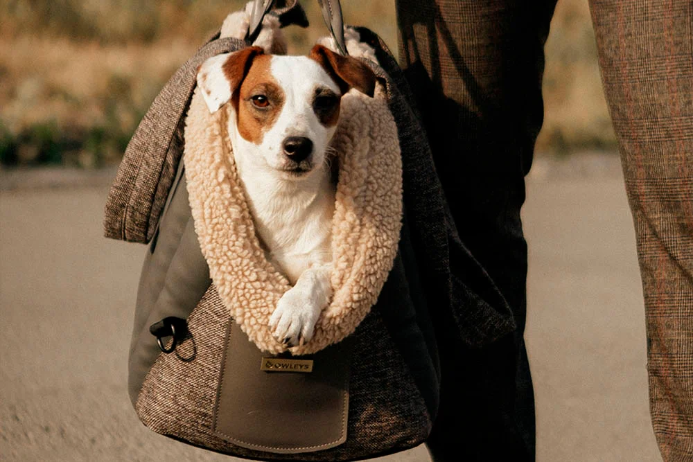Carrier Dog Car Seat