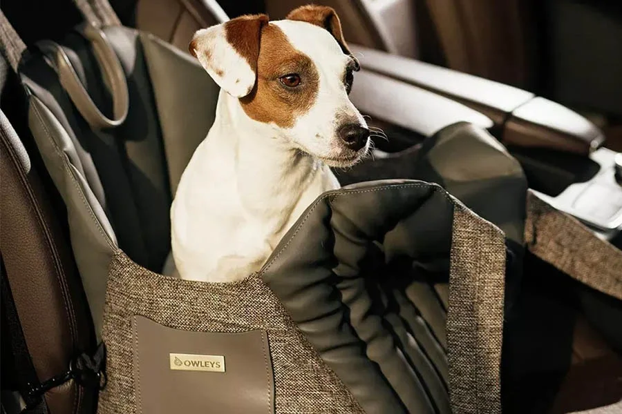Portable dog carrier for car travel
