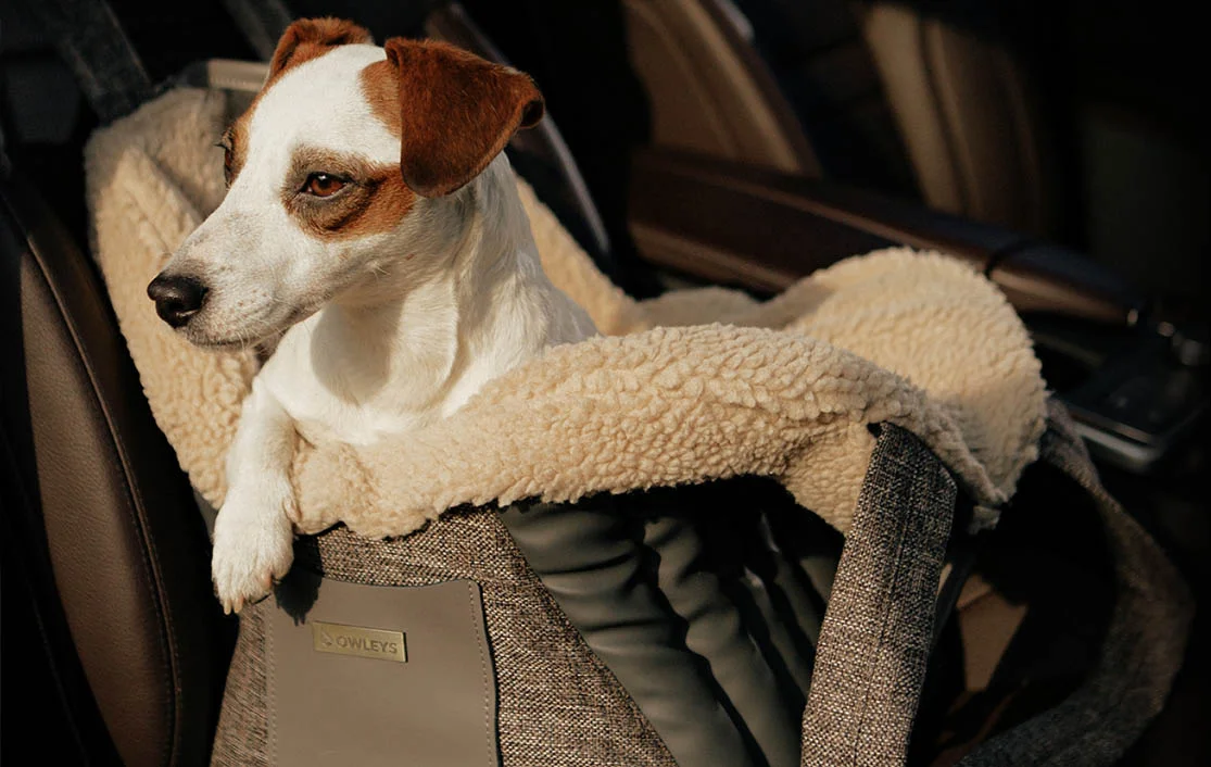 Portable dog carrier for car travel